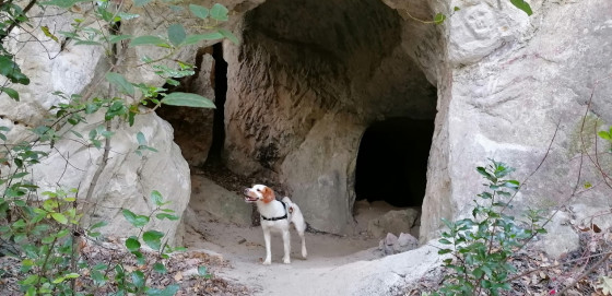 Visite de la grotte de sable