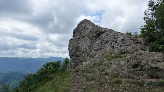 Vogelstein