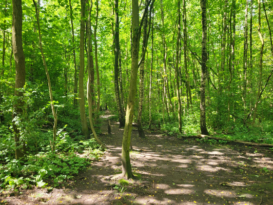 Voßbarg