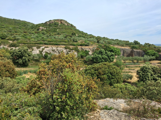 Vu à mi parcours
