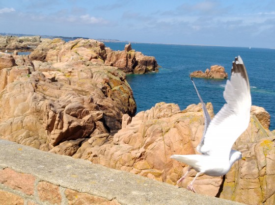 Vue du Phare du Paon