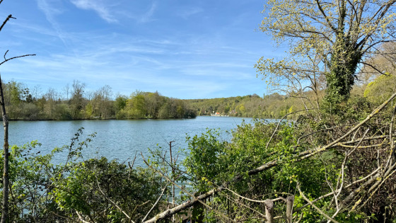 Vu sur la Seine depuis la rue de Croix Fontaine