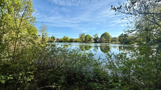 Vu sur le lac \