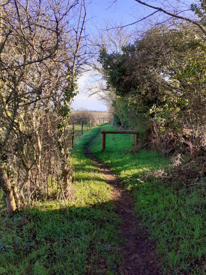 Vu sur le sentier.