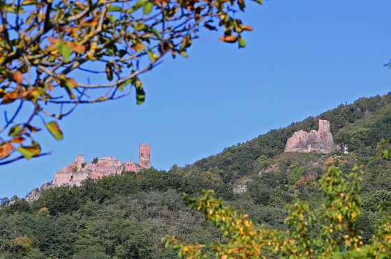 Vu sur les châteaux de Ribeauvillé.
