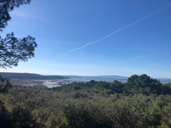 Vue sur les étangs