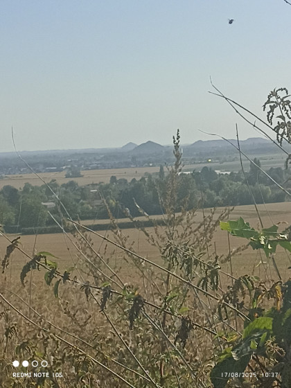 vu sur mericourt