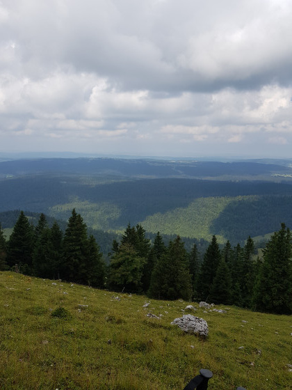 Au sommet du Suchet