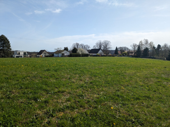 Vue à la sortie de la forêt de Haut-Soultzbach 4