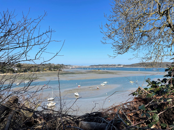 vue &agrave; mar&eacute;e basse