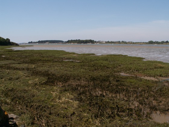 Vue &agrave; partir de la Pointe de la Garenne