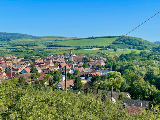 Vue aérienne sur le village de Sasbach-Am-Kaiserstuhl