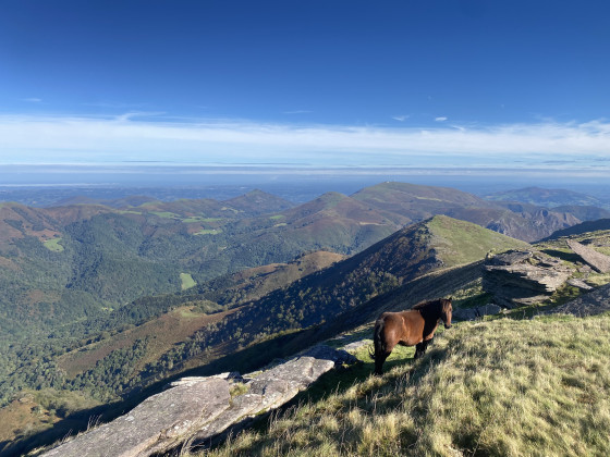 Vue alentour