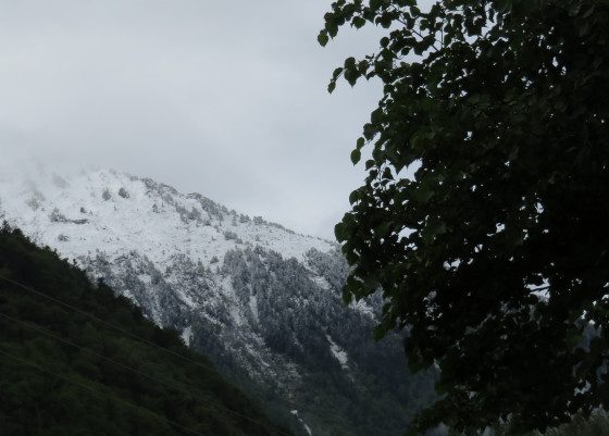 Vue aller