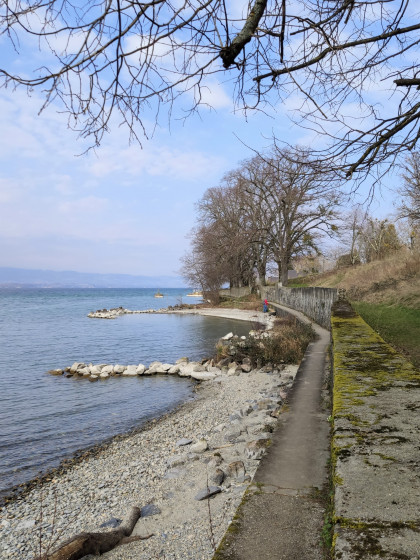 Vue arrière du marchepied