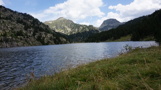 Vue au bord de l\'étang des Bésines