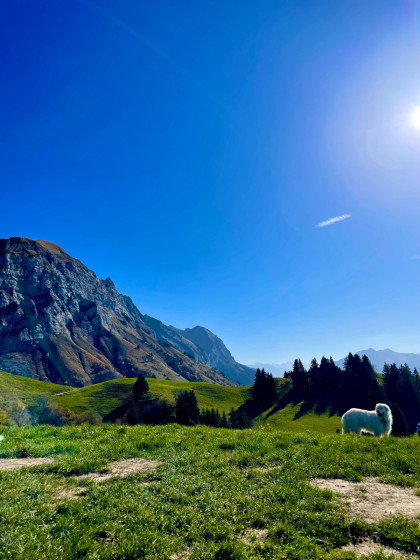 Vue au chalet de l’Aulp