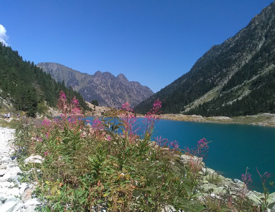 Vue au retour de l\'extrémité sud du lac