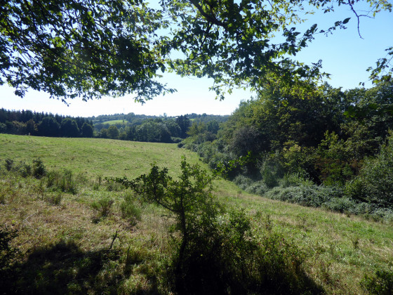 Vue bocagère vers la vallée de l\'Helpe Majeure