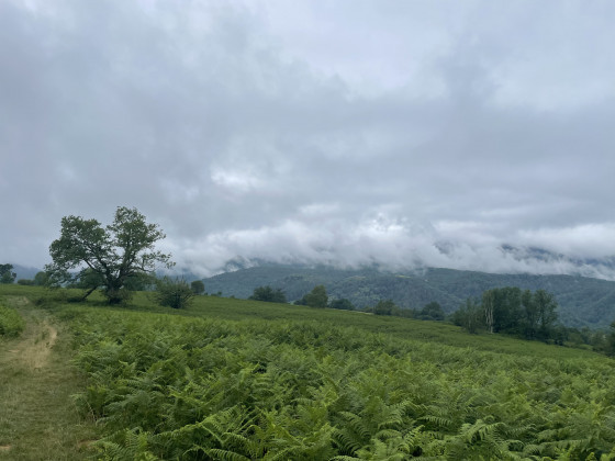 Vue bouchée sur le Bager