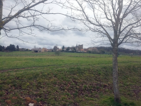 Vue champêtre sur l\'église et la tour du château