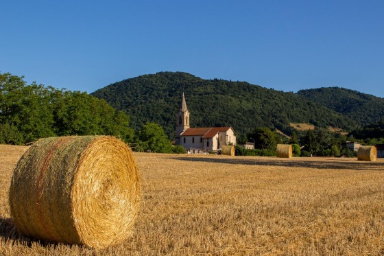 Vue champêtre sur le village