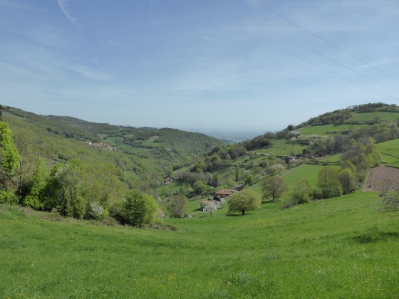 Vue champêtre