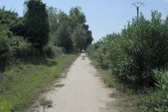 Vue chemin voie verte Spassiverde