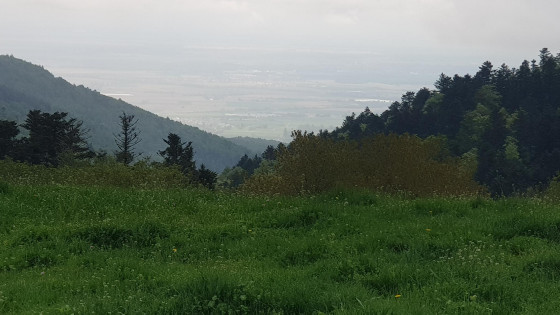 Vue Col Amic