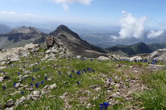 Vue côté sud avant le sommet