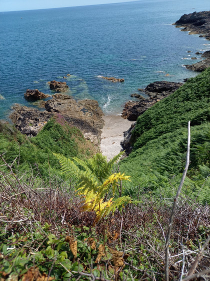 Vue côtière