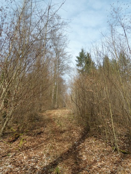 vue d'ensemble des chemins