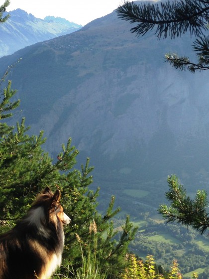 Vue d\'un balcon