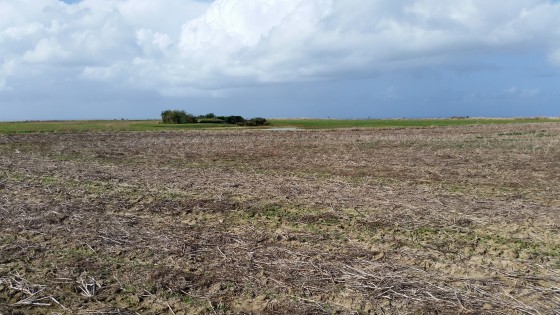 Vue d\'un second hutteau à l\'écart du chemin Vue d\'un second hutteau à l\'écart du chemin