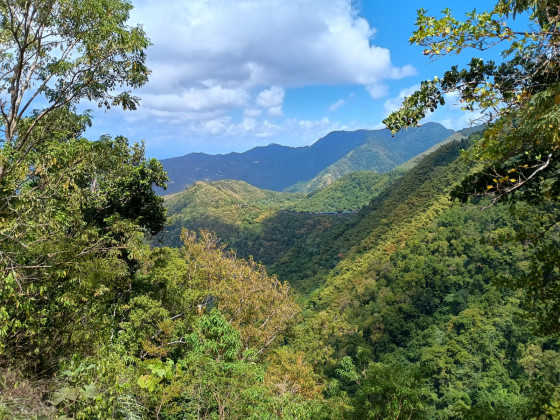 vue dans les mornes