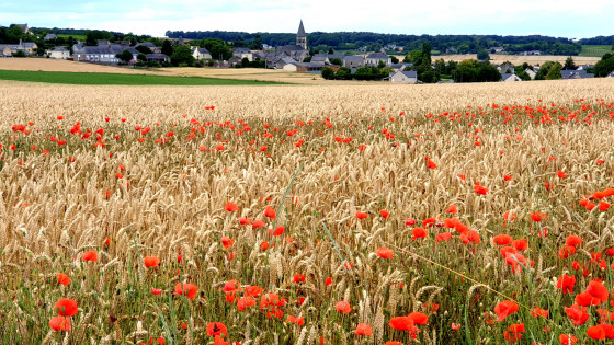 Vue de Coutures