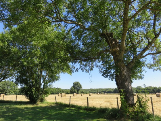 Vue de l'Aiguillon pr&egrave;s de Luant
