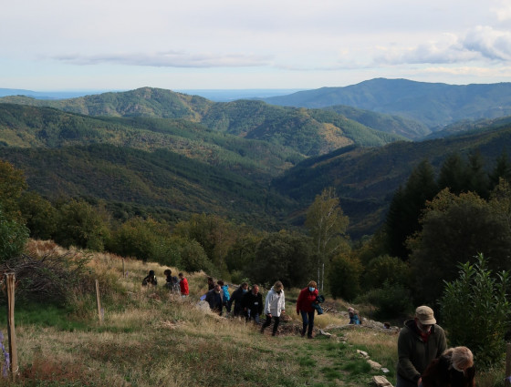 Vue de l'Espinas et du sentier de la châtaigneraie