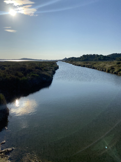 Vue de l\'étang depuis la passerelle