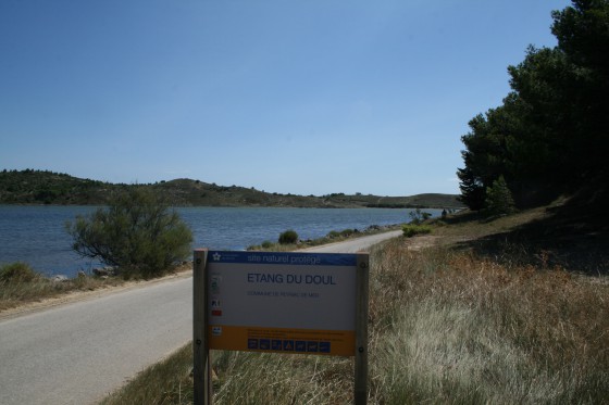 Vue de l\'étang du Doul