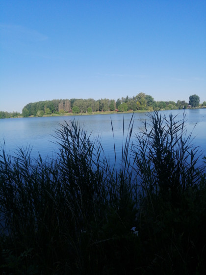 Vue de l'&eacute;tang