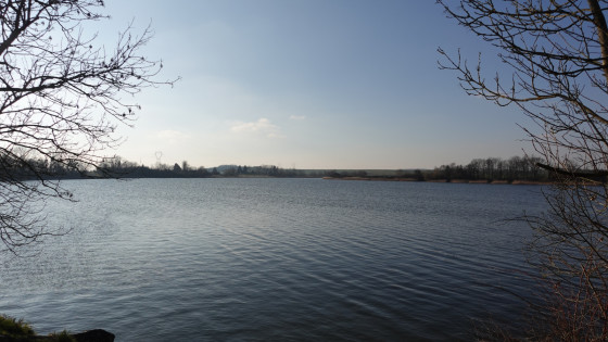 Vue de l\'étang