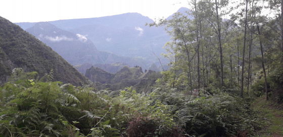 Vue de l\'Îlet des Orangers