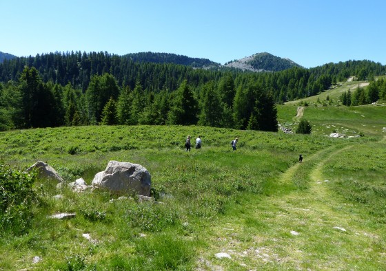 Vue de la cabane du Col Bas