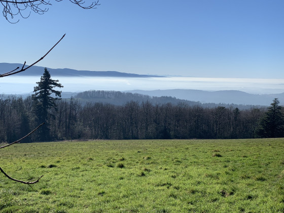 Vue de la campagne du Sidobre