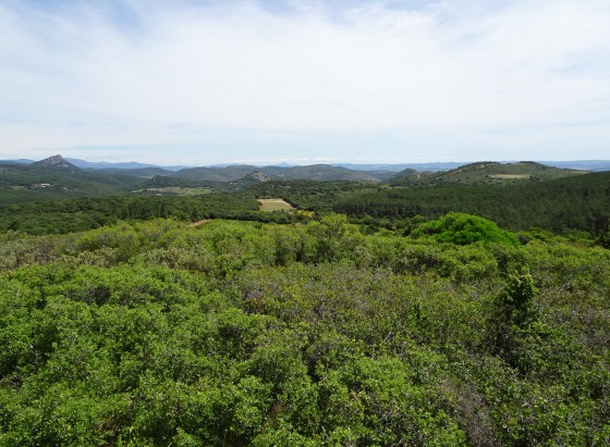 vue de la capitelle a la Borne