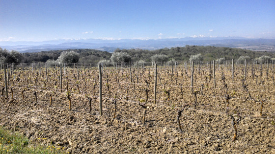 vue de la chaine des pyr&eacute;n&eacute;es