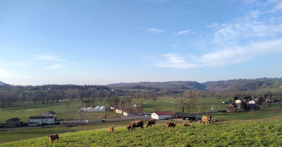 Vue de la colline