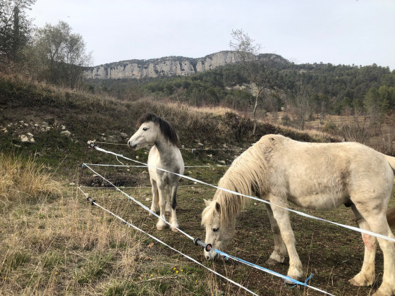 Vue de la Crête des Gauthiers depuis Cuebris