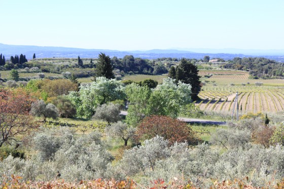 Vue de la demeure de la Pré Fantasty